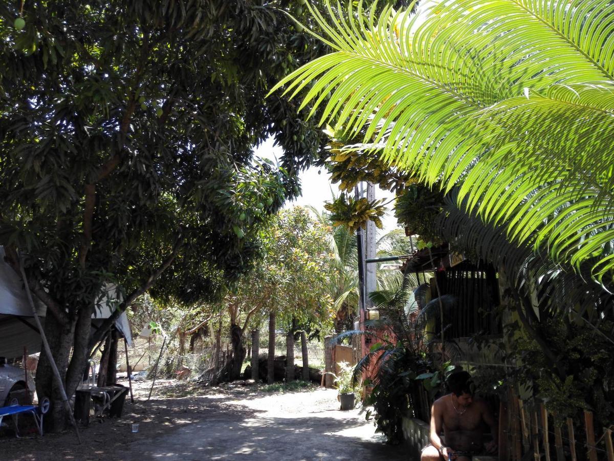 Hostel Terra Viva Praia de Pipa Exterior photo
