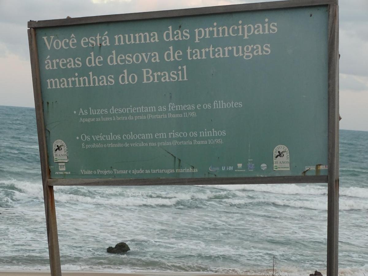 Hostel Terra Viva Praia de Pipa Exterior photo